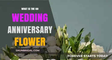 Celebrating 60 Years of Love: The Diamond Anniversary Flower Revealed