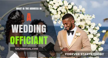 The Wedding Officiant: Addressing the Ceremony