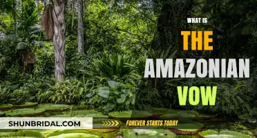 Unveiling the Amazonian Vow: A Sacred Commitment to Nature's Balance