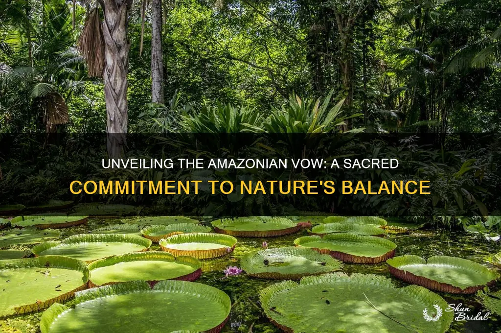 what is the amazonian vow