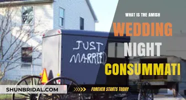 Amish Wedding Night Consummation: Traditions, Beliefs, and Cultural Insights