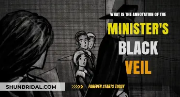 Unveiling the Mystery: The Minister's Black Veil Annotation Explained