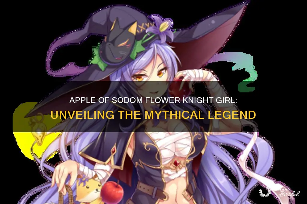 what is the apple of sodom flower knight girl