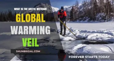 Arctic Methane's Global Warming Veil: Unveiling the Climate Crisis