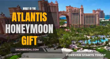 Unveiling the Mystery: The Atlantis Honeymoon Gift