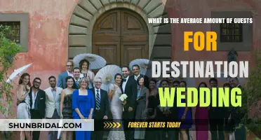 Destination Wedding Guest Count: Average Attendance Revealed