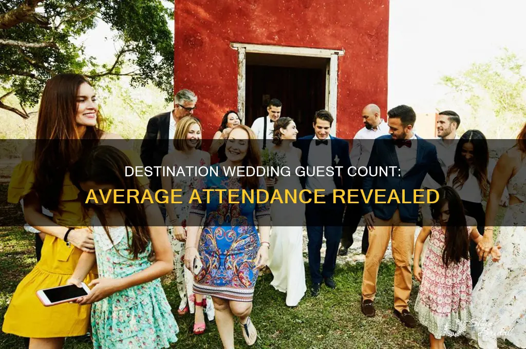 what is the average amount of guests for destination wedding