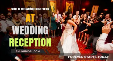 How Much Does Wedding Reception DJing Cost?