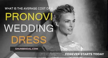 Cost of Pronovias Wedding Dresses: How Much?