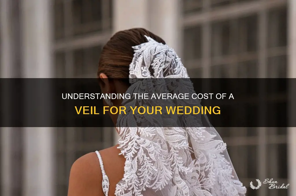 what is the average cost of a veil