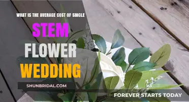 Average Cost of Single Stem Flower Wedding Arrangements Revealed