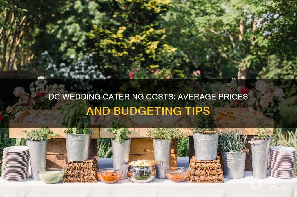 what is the average cost of wedding catering in dc