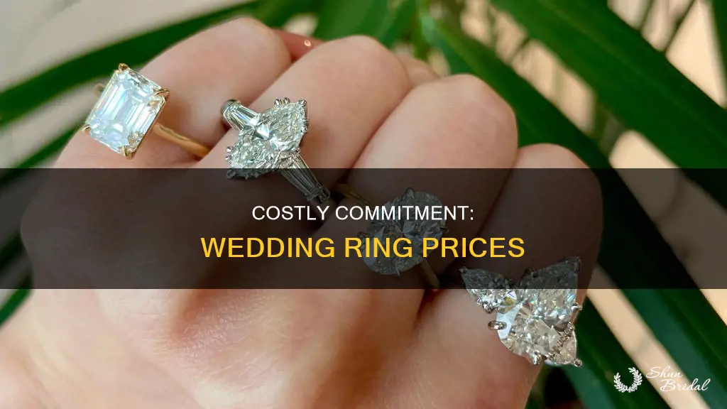 what is the average cost of wedding rings