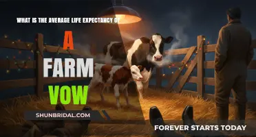 Understanding the Typical Lifespan of a Farm Vow: Key Insights