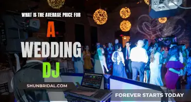 How Much Should You Budget for a Wedding DJ?