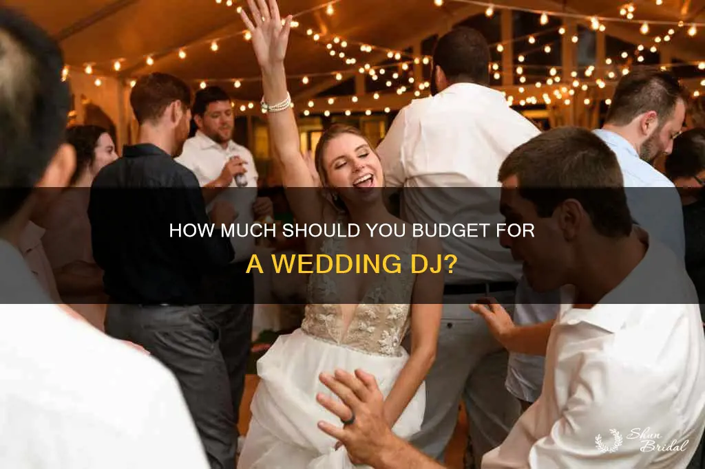what is the average price for a wedding dj