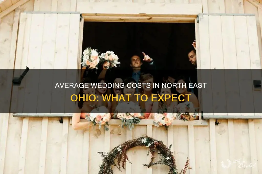 what is the average wedding cost in north east ohi