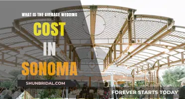 Sonoma Wedding Costs: Average Expenses for Your Dream Celebration