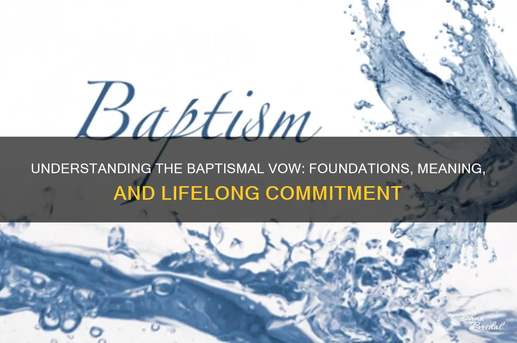 what is the baptismal vow basedo n