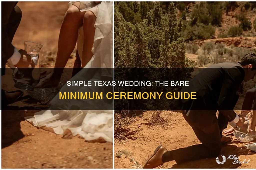 what is the bare minimum wedding ceremony in Texas