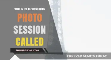 Pre-Wedding Photo Sessions: Capturing the Love Before the Big Day
