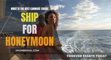 Carnival's Best Cruise for Honeymoons: A Guide to the Perfect Getaway