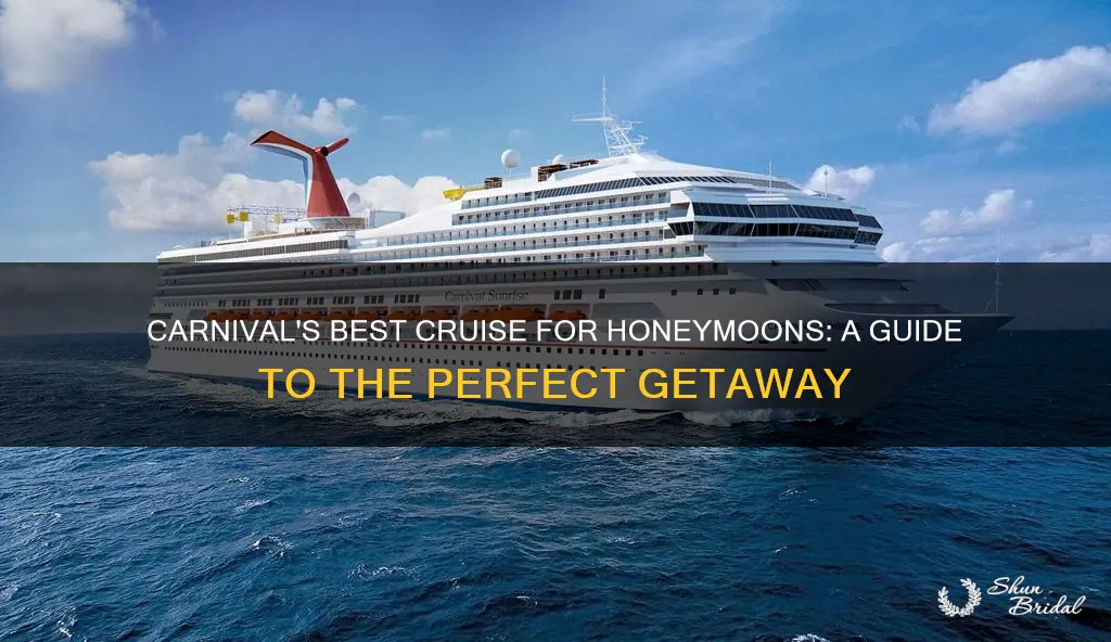 what is the best carnival cruise ship for honeymoon