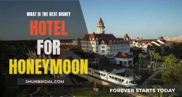 Romantic Getaway: Disney's Best Hotels for Honeymoons