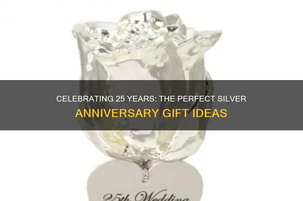 what is the best gift for 25 wedding anniversary