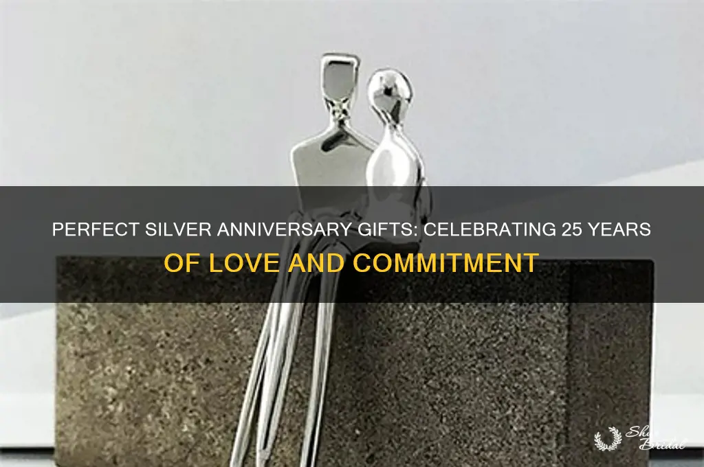 what is the best gift in silver wedding anniversary