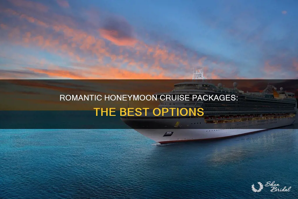 what is the best honeymoon cruise package