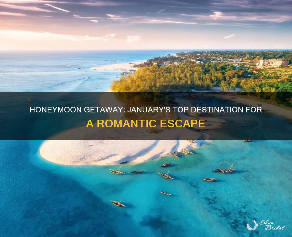 what is the best honeymoon destination in january