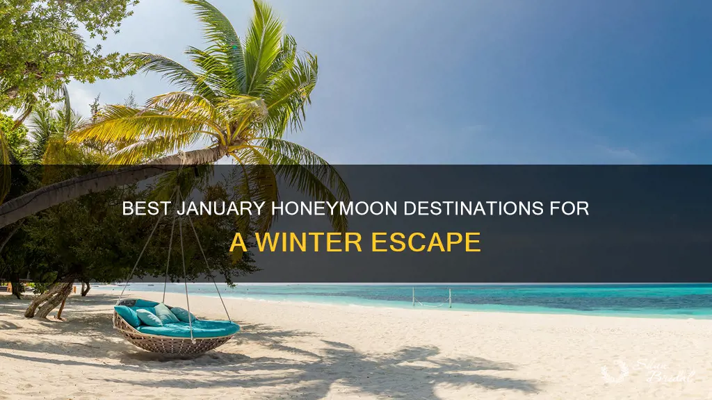 what is the best honeymoon destination in january