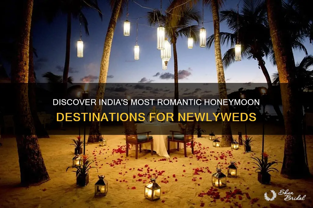 what is the best honeymoon in india