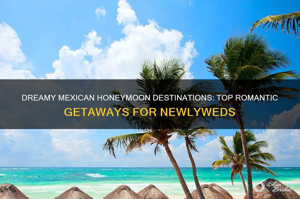what is the best honeymoon location in mexico