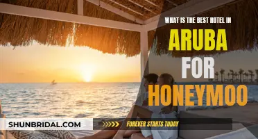 Aruba's Top Honeymoon Resort: A Tropical Paradise for Love Birds