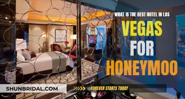 Las Vegas Honeymoon Paradise: The Ultimate Hotel Experience