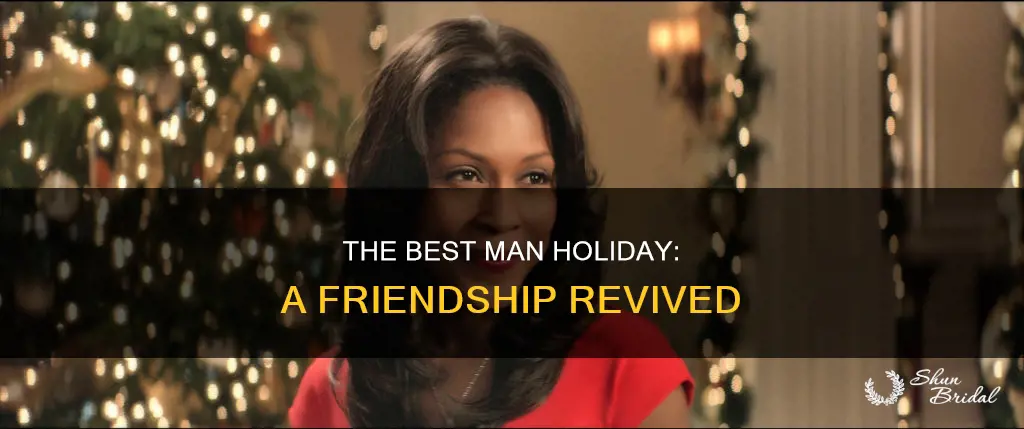 what is the best man holiday about