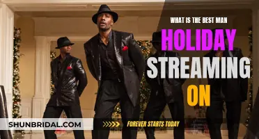 Best Man Holiday: Where to Stream the Movie