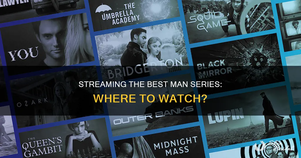 what is the best man series streaming on