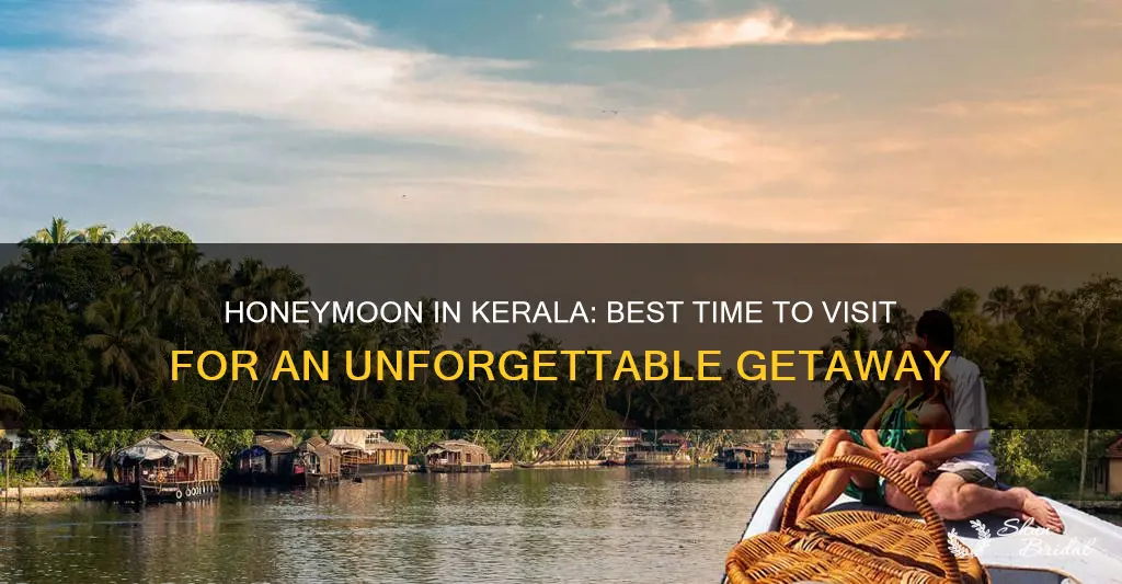 what is the best time to visit kerala for honeymoon