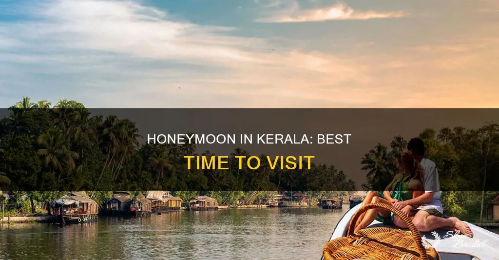 what is the best time to visit kerala for honeymoon