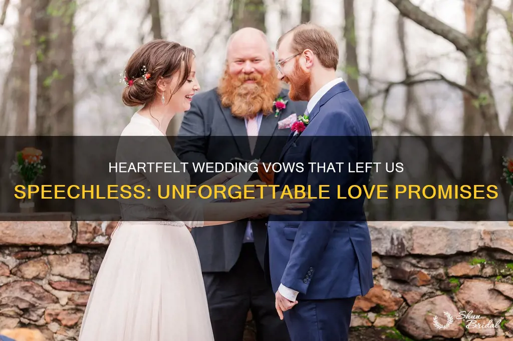 what is the best wedding vows you ever heard