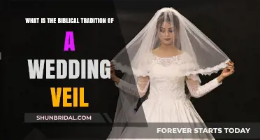 Biblical Roots and Symbolism of the Wedding Veil Tradition
