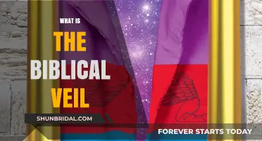 Unveiling the Biblical Veil: Symbolism, Significance, and Spiritual Meaning