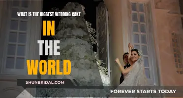 The Largest Wedding Cake Ever Baked