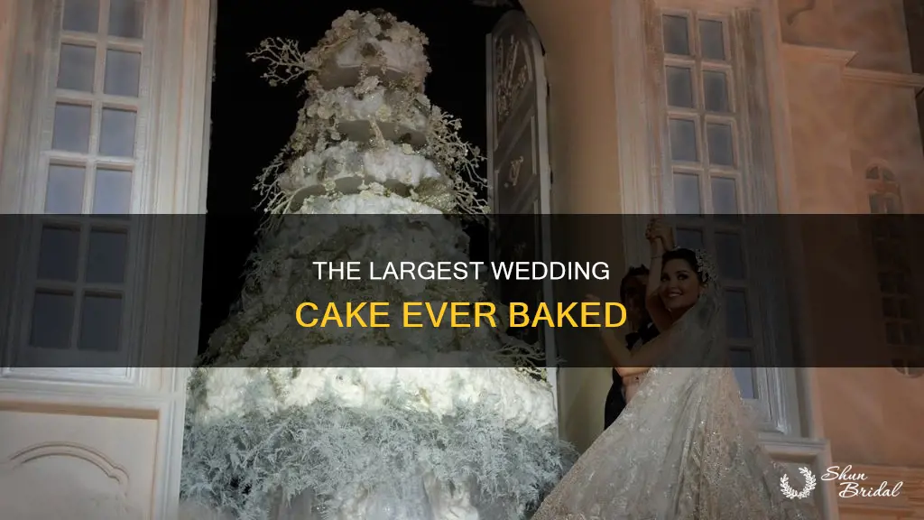 what is the biggest wedding cake in the world