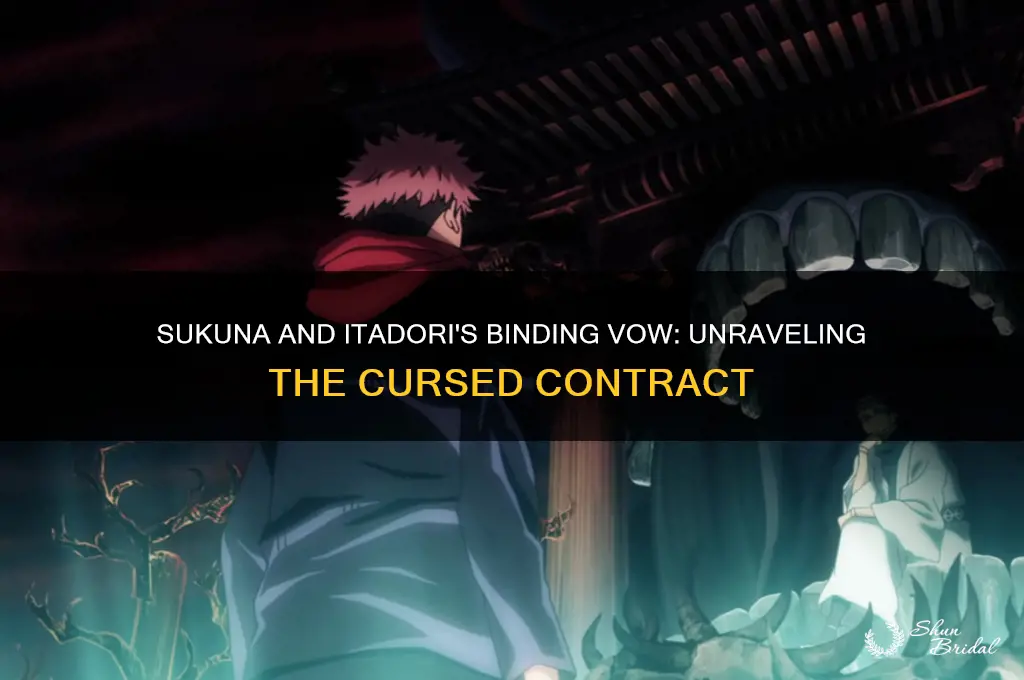 what is the binding vow between sukuna and itadori