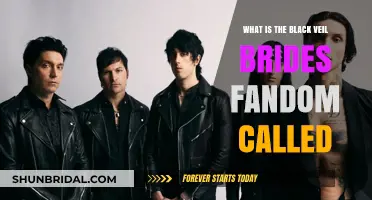 Unveiling the Name: Exploring Black Veil Brides' Dedicated Fandom