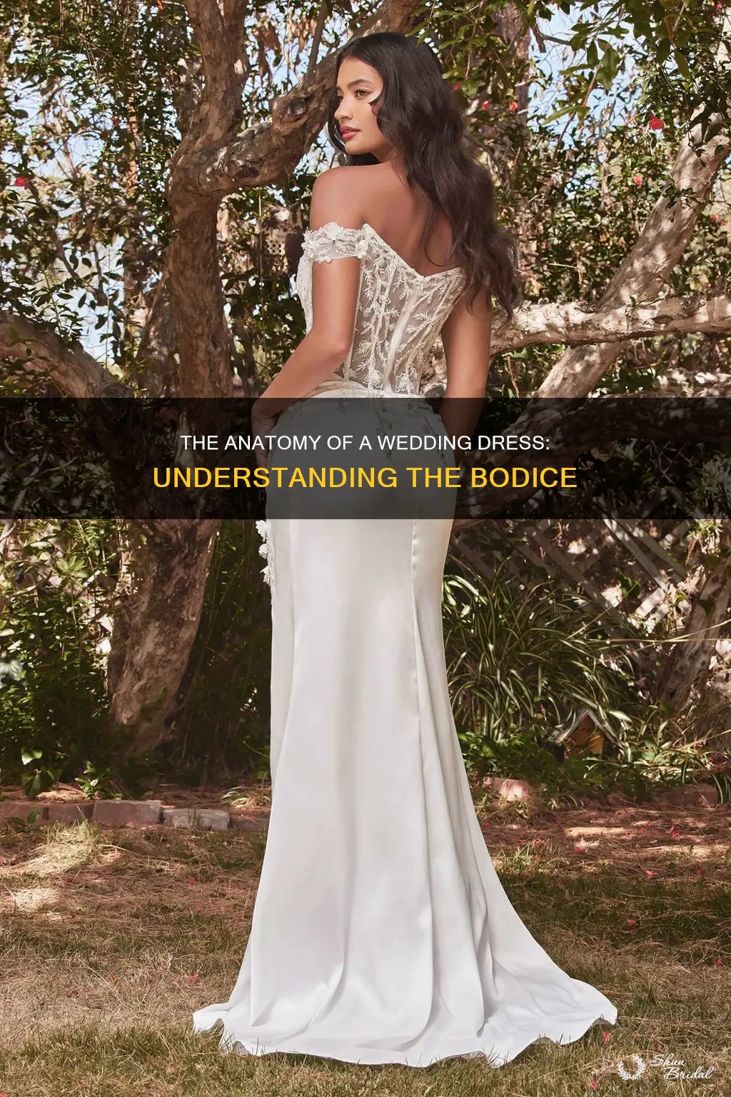 what is the bodice of a wedding dress